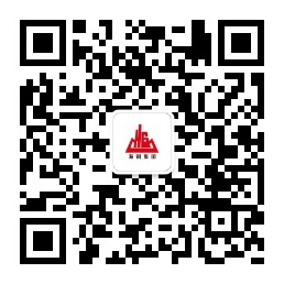 海南海鋼集團有限公司